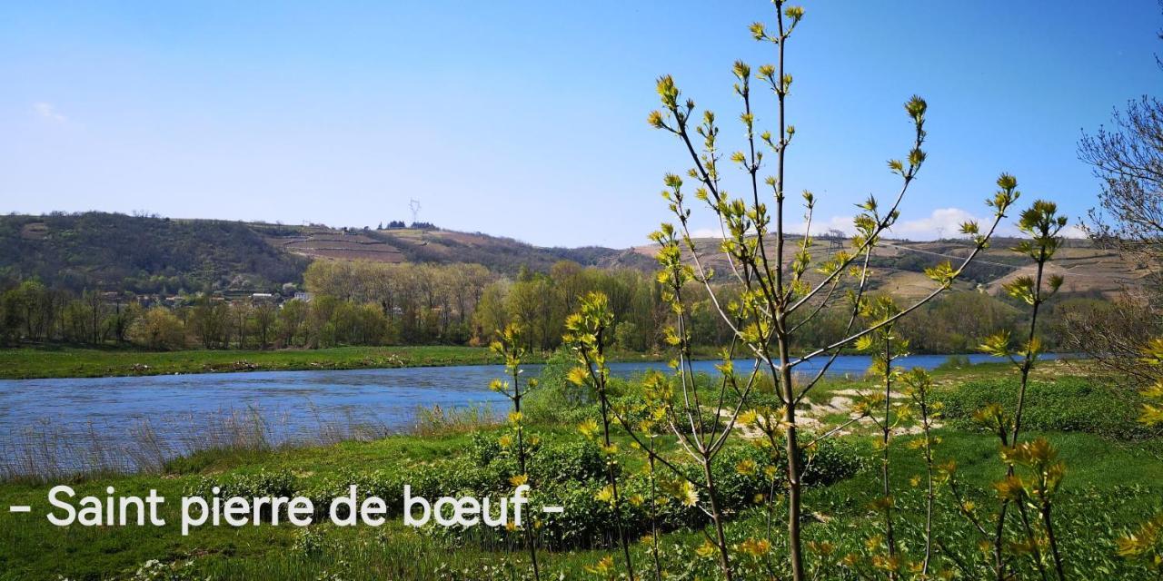 Comme A La Maison Appartement Clonas-sur-Vareze